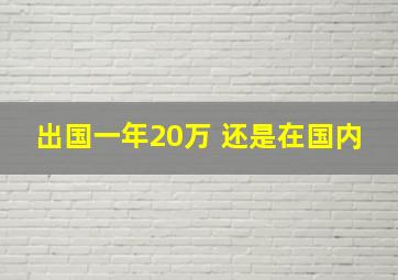 出国一年20万 还是在国内